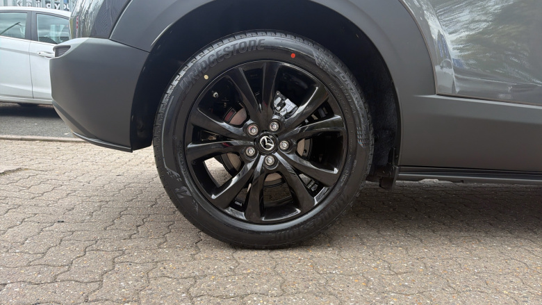 Mazda CX-30 2.5 e-Skyactiv G MHEV [140] Homura 5dr Auto Petrol Hatchback